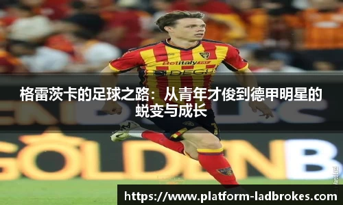 格雷茨卡的足球之路：从青年才俊到德甲明星的蜕变与成长