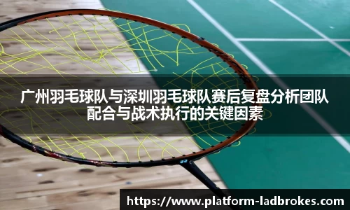 广州羽毛球队与深圳羽毛球队赛后复盘分析团队配合与战术执行的关键因素